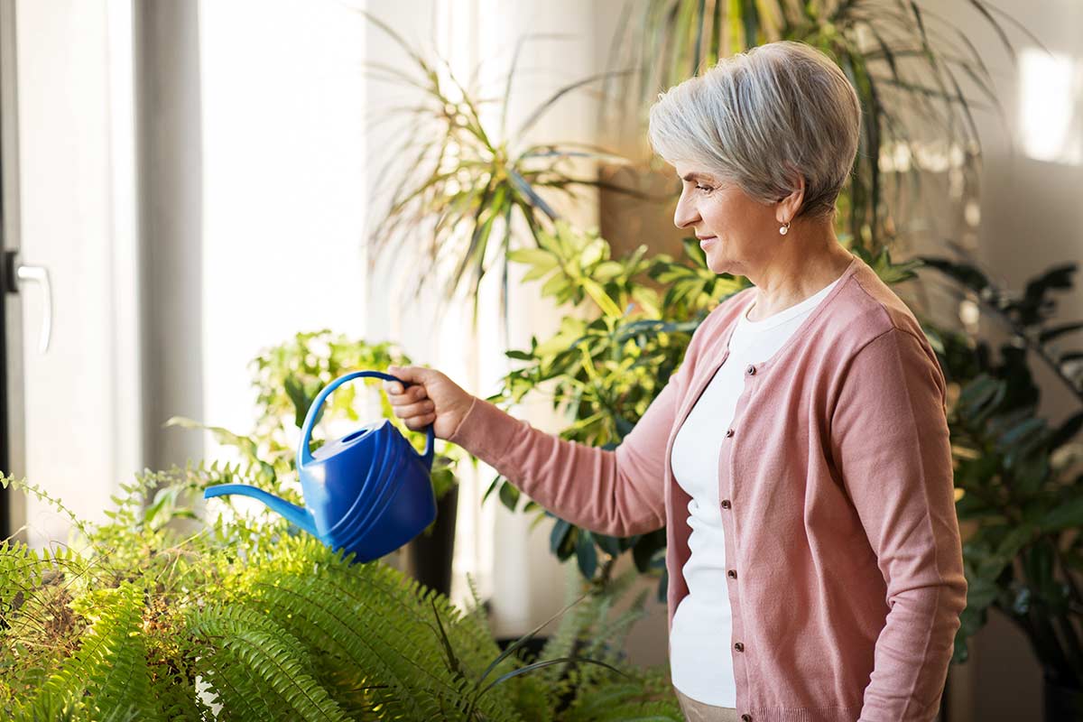 Indoor Gardening For Seniors Senior Hobbies Senior Care