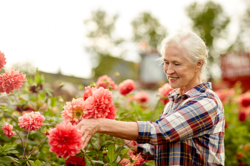 Weight Gain Strategies For The Elderly - Aston Gardens