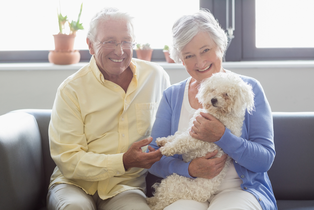 what is a good small dog for seniors