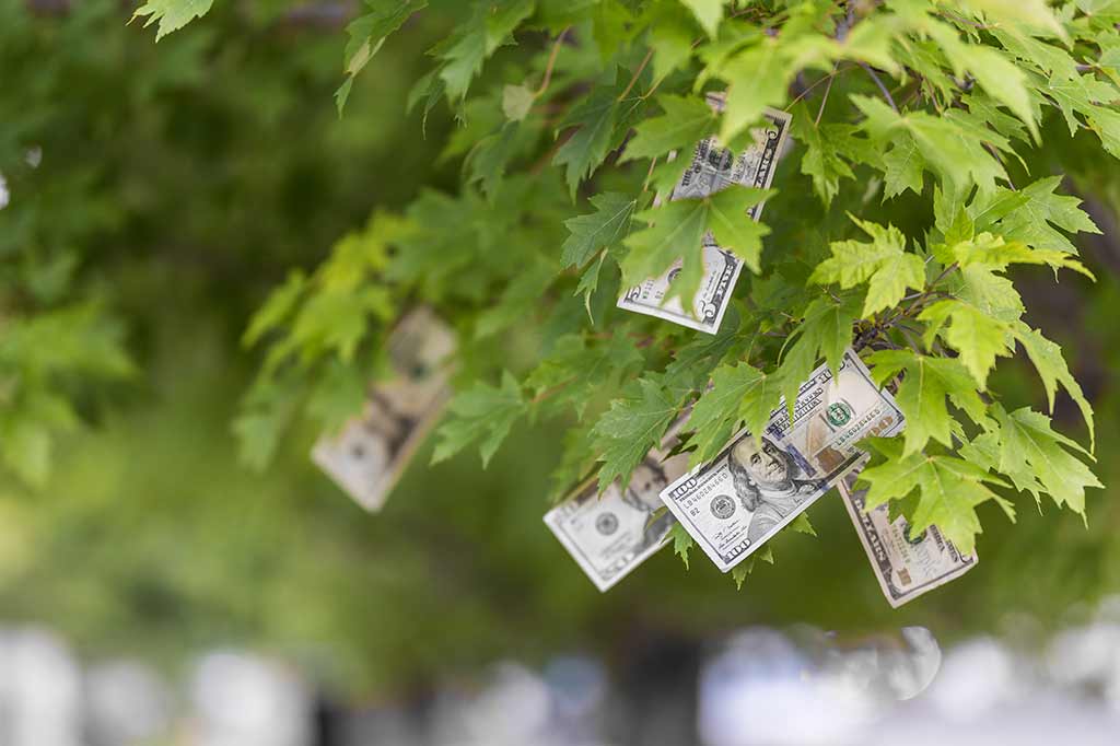 ways-to-save-more-money-as-a-senior-aston-gardens