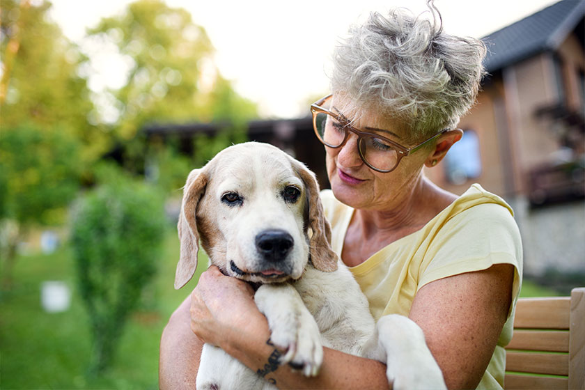 Find Comfort And Companionship Through Pet Therapy In Senior ...