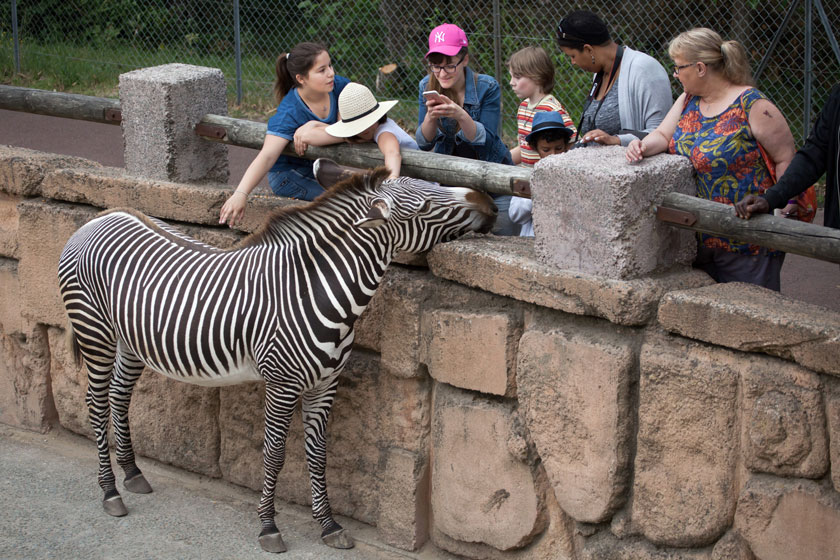 Retirement Adventures: Zootampa at Lowry Park Unveiled - Aston Gardens